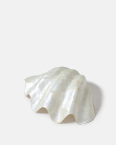 XL Seashell Trinket Tray - Image 2