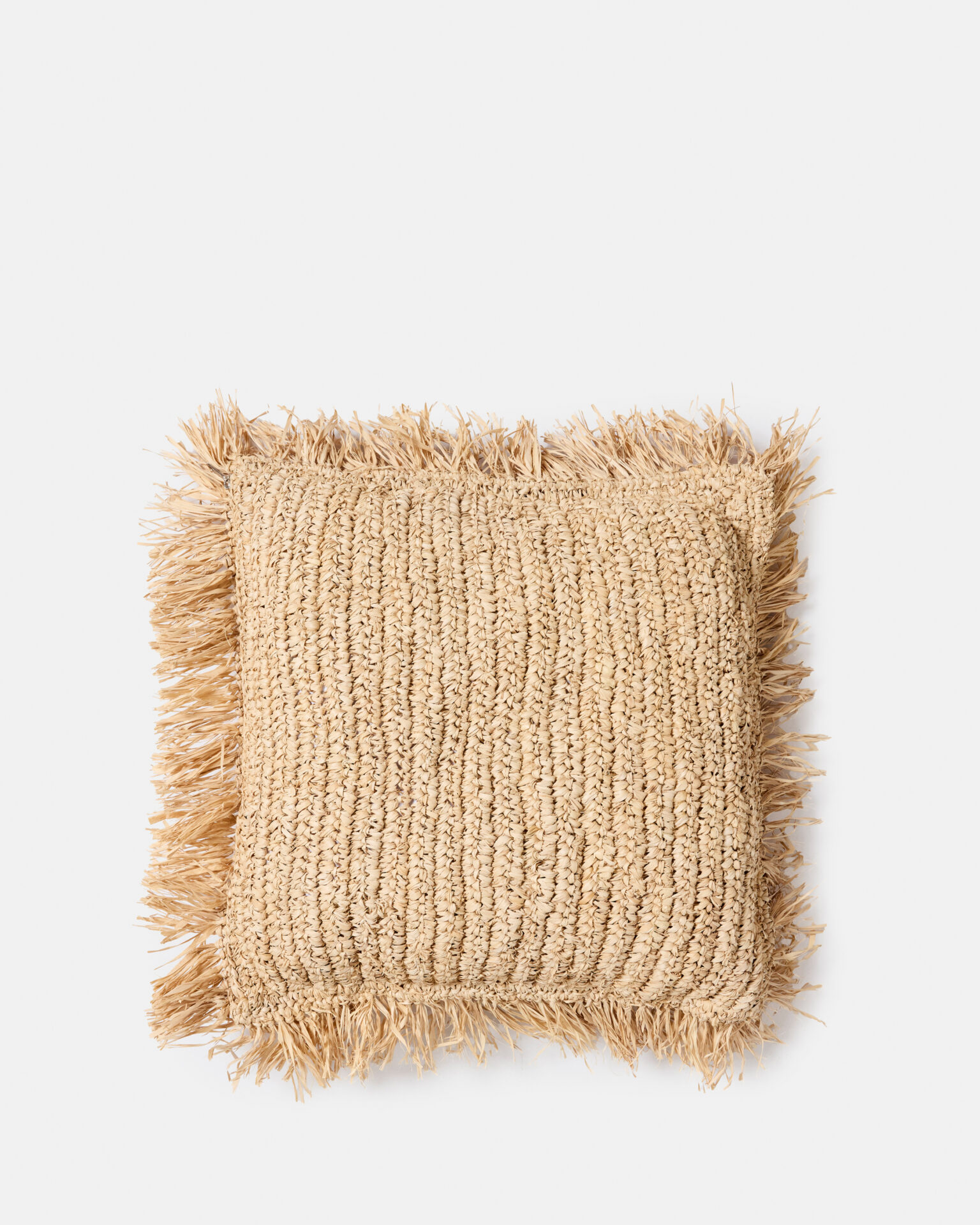 2025-12-03-DesignTrip-Day032157 Raffia Cushion - Image 1