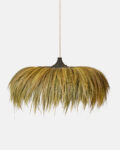 Herbier