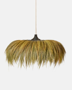 Herbier