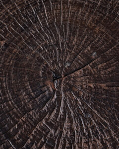 Stools - Image 3