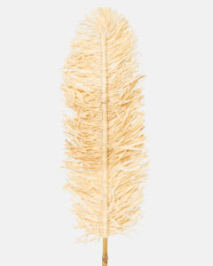 Accessories - Image 2