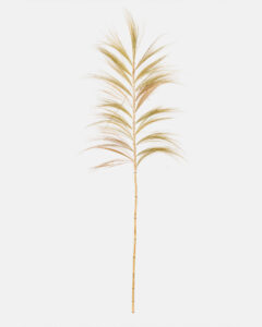 Decorative Pampas Grass - Abaca Feathers